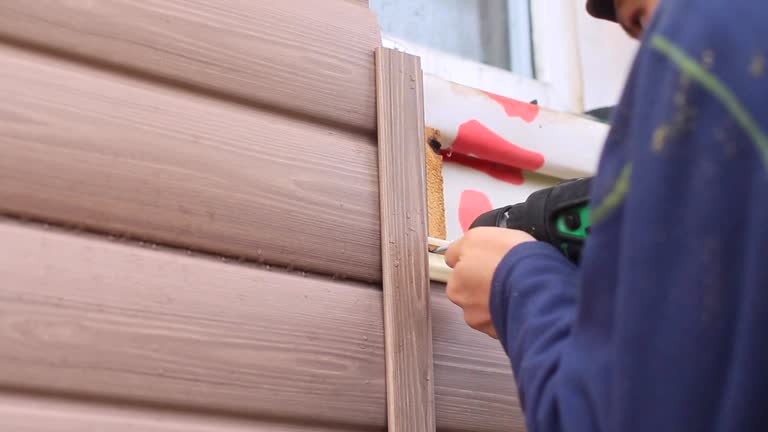 Best Shed Removal  in Johnsburg, IL